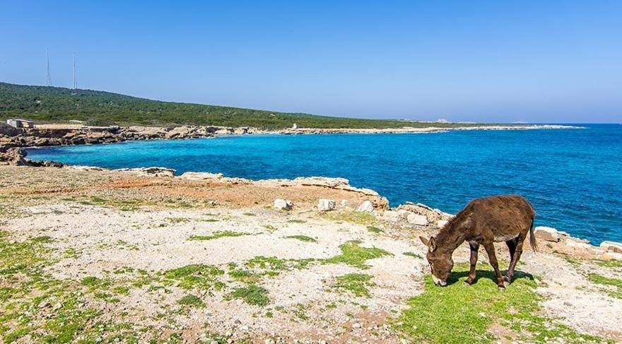 فندق كريستال روكس Agios Sergios المظهر الخارجي الصورة
